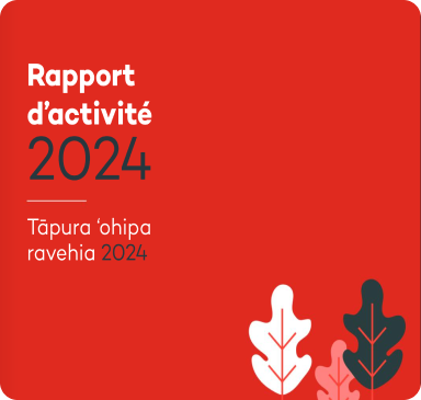 Rapport d'Activité 2024